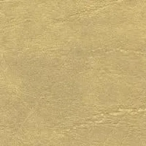 Carrara parchment