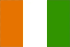 Ivory Coast National Flag Printed