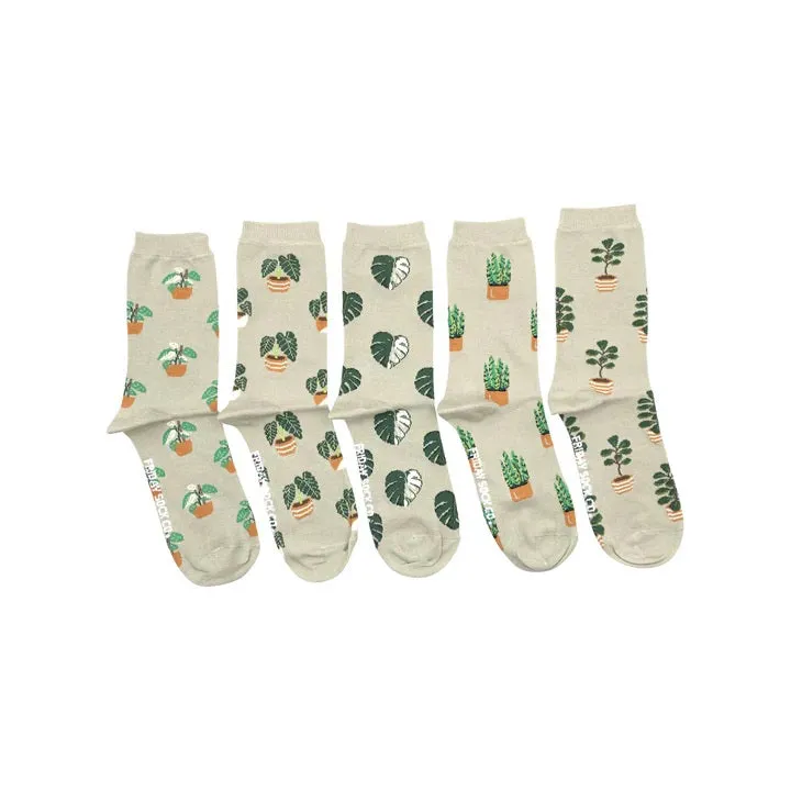 Laundry Box Socks / Click for Styles