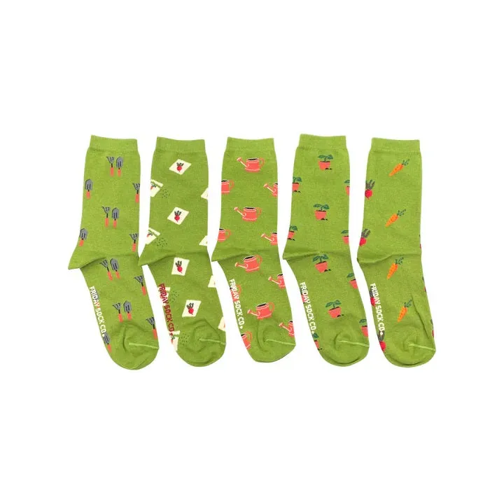 Laundry Box Socks / Click for Styles