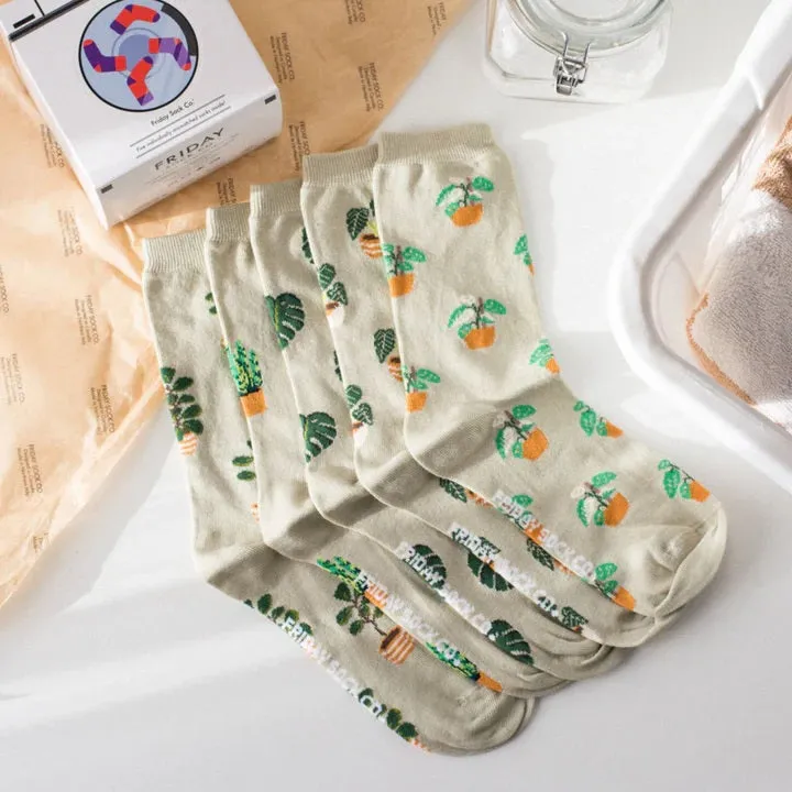 Laundry Box Socks / Click for Styles